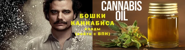 твердый Гусев