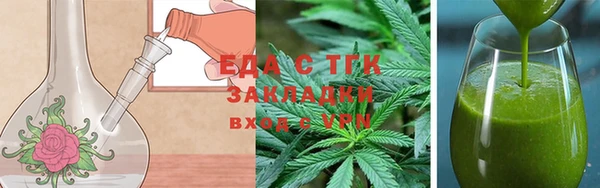 твердый Гусев