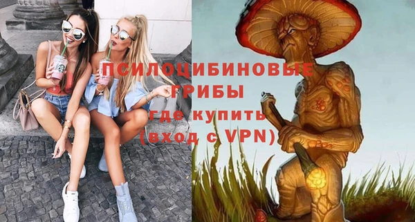 а пвп мука Гусиноозёрск