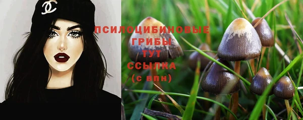 спиды Гусь-Хрустальный