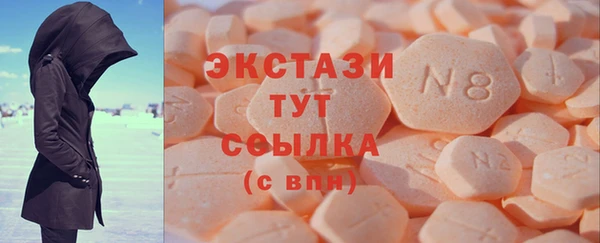 твердый Гусев