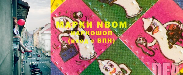 твердый Гусев