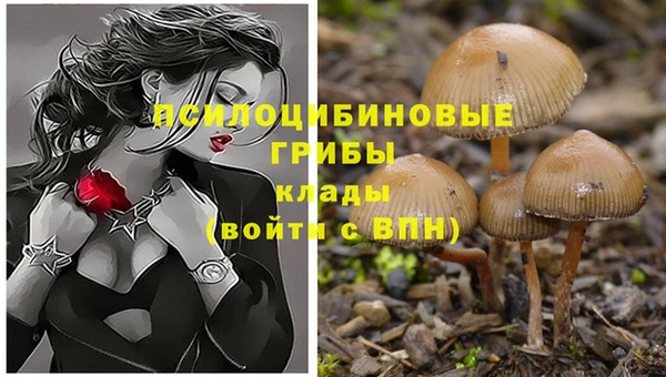 спиды Гусь-Хрустальный