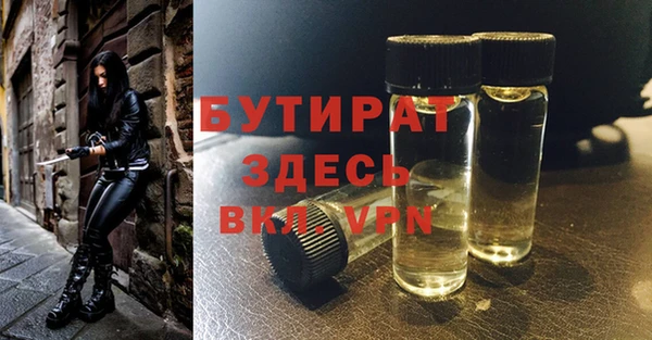 твердый Гусев