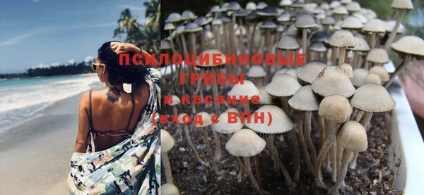 а пвп мука Гусиноозёрск