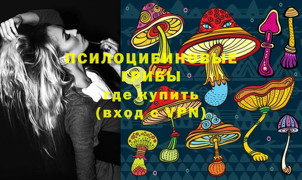спиды Гусь-Хрустальный