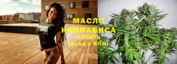 твердый Гусев