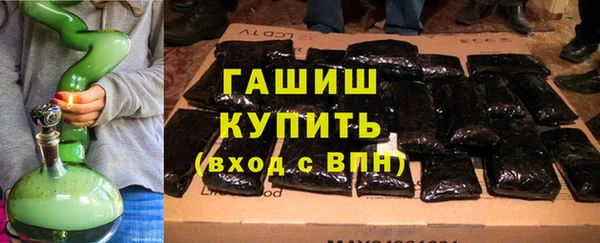 твердый Гусев