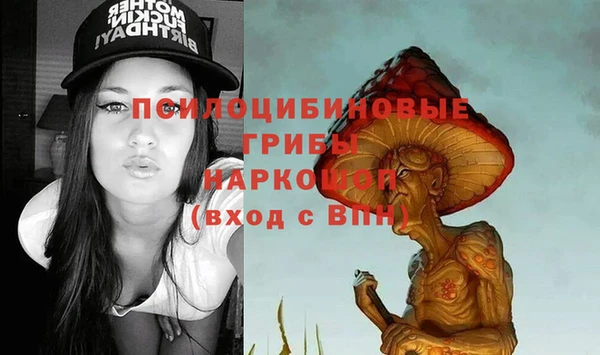 спиды Гусь-Хрустальный