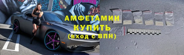 твердый Гусев