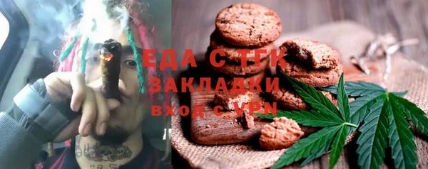 твердый Гусев